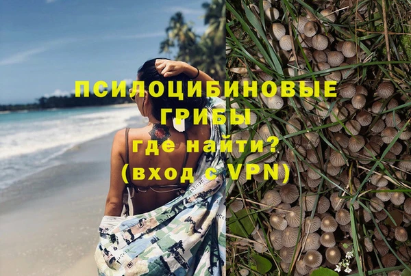 гидра Медвежьегорск