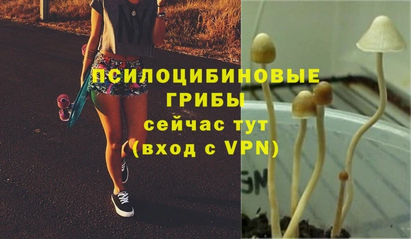 соль ск Медногорск
