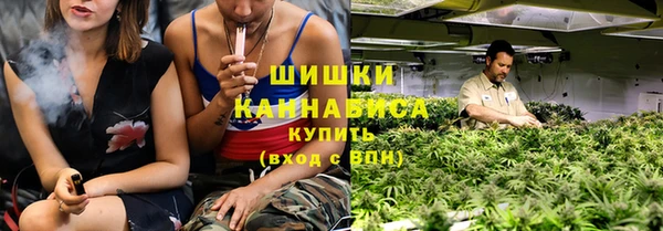 гидра Медвежьегорск